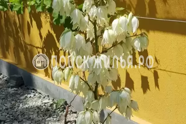 «Мандарин», Кабардинка «Мандарин», Кабардинка