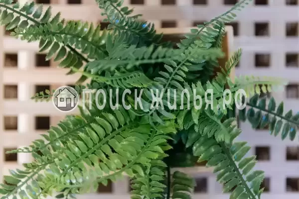 Отель «Ecoliner Hotel», Москва