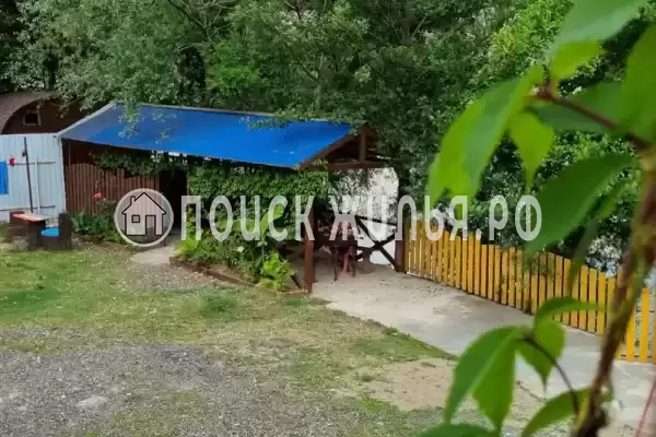 «Надежда», Шепси «Надежда», Шепси