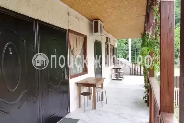 «Надежда», Шепси «Надежда», Шепси