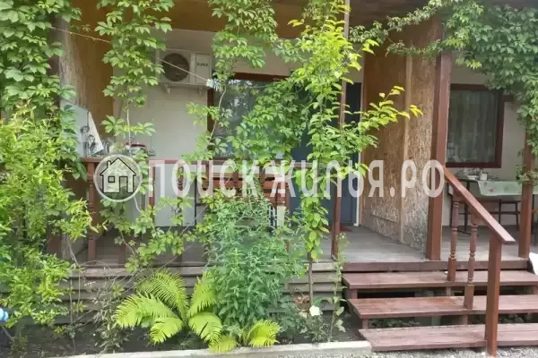 «Надежда», Шепси «Надежда», Шепси