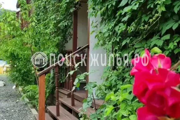 «Надежда», Шепси «Надежда», Шепси