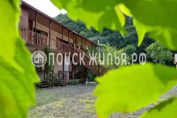 «Надежда», Шепси «Надежда», Шепси