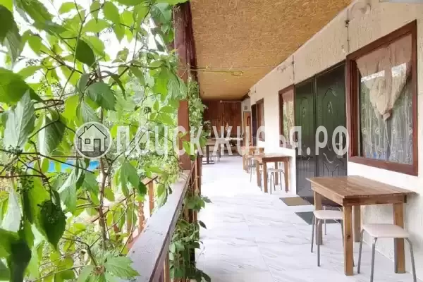 «Надежда», Шепси «Надежда», Шепси