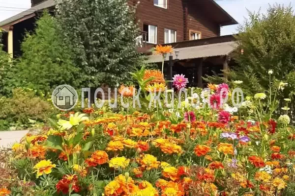 «Чемальское заречье», Чемал «Чемальское заречье», Чемал