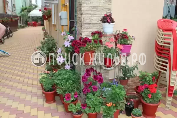 Частный сектор «Частный дом Ангелина», Адлер