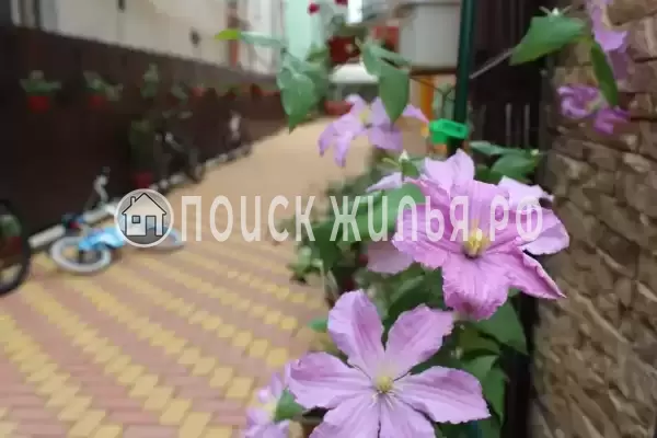 Частный сектор «Частный дом Ангелина», Адлер