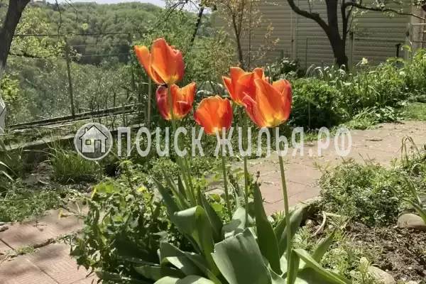 Дом под ключ «У моря», Туапсе