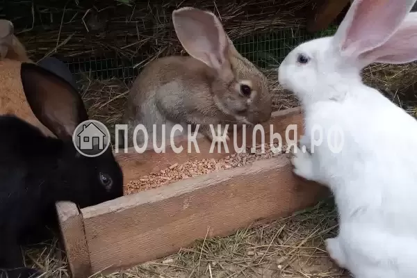 Отель «Астра», Ярославль