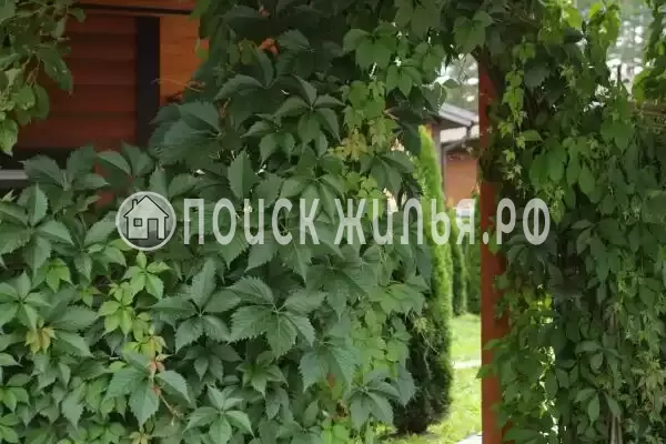 «Гостевые дома Три Медведя», Заокский