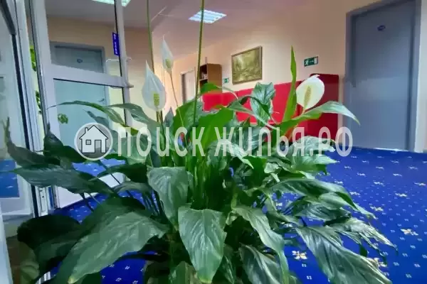 Отель «Киевская», Нягань Отель «Киевская», Нягань