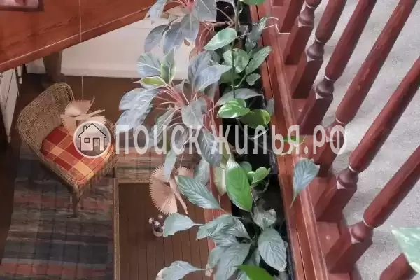 «Гостевая Изба на Истре», Истра