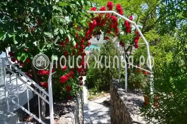 Отель «Оздоровительный Комплекс Лазурный», Коктебель Отель «Оздоровительный Комплекс Лазурный», Коктебель