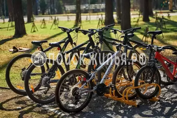 Отель «Алтай Подгорица», Бирюзовая Катунь