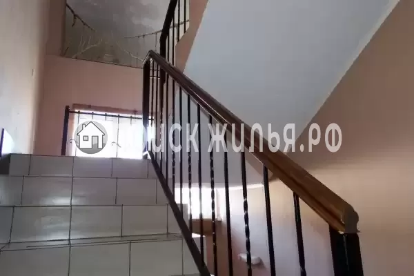 «Country House», Новинки «Country House», Новинки