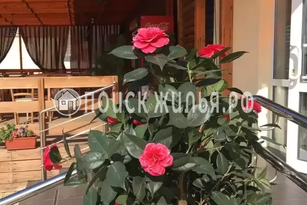 Отель «Волга», Соль-Илецк