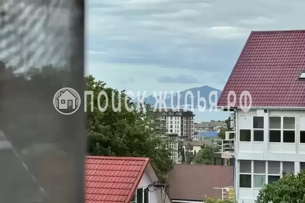 «Шафран», Адлер