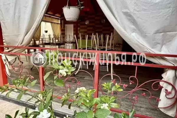 «Шафран», Адлер