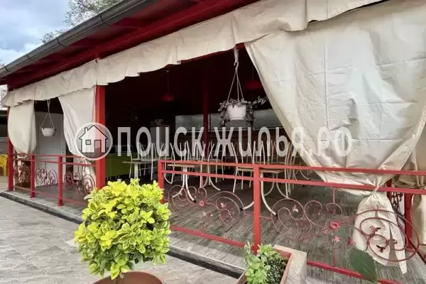 «Шафран», Адлер