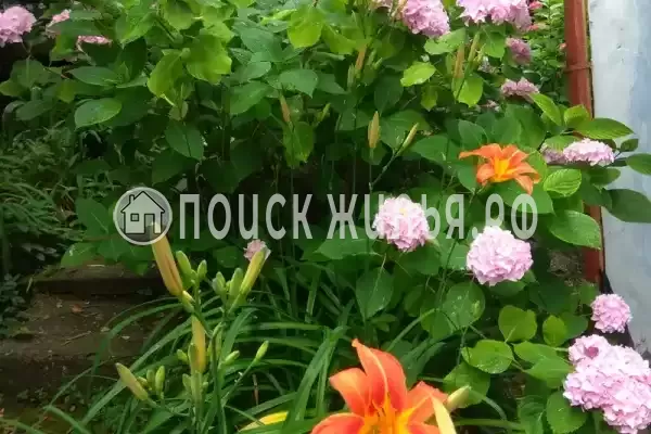 Частный сектор «Частный дом Уютный дом у моря», Новый Афон