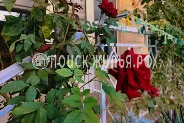 «Анли», Анапа