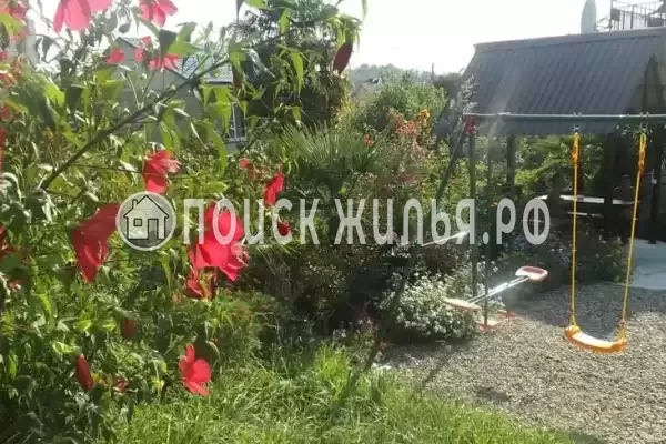 «Стелла», Вардане