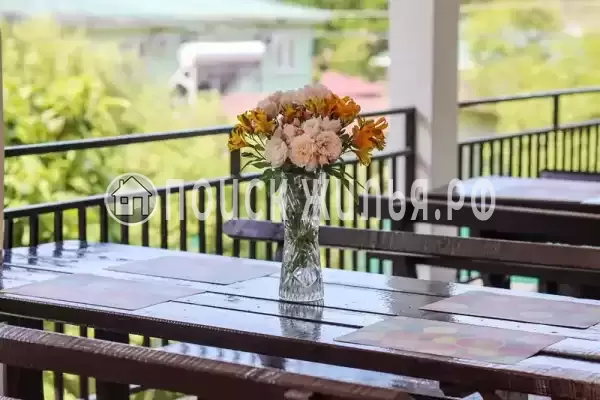 «Стелла», Вардане