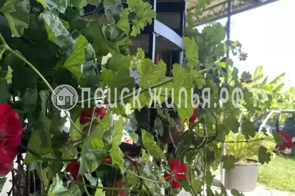 Гостевой дом «Мотя», Новый Афон Гостевой дом «Мотя», Новый Афон