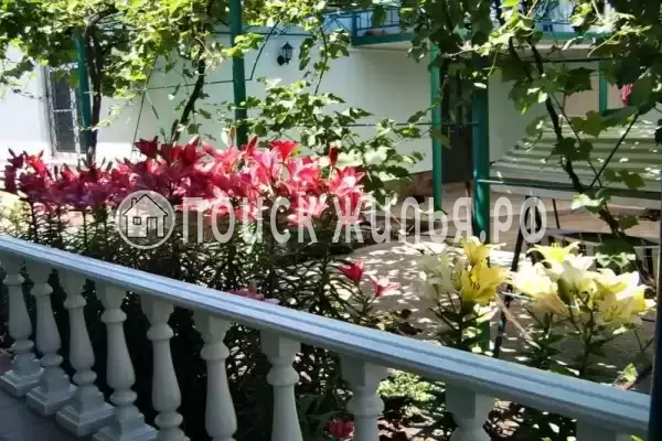 «Homely Hotel», Витязево