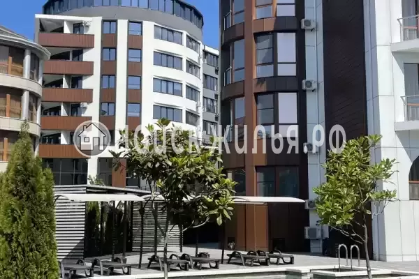 «Лайм», Агой