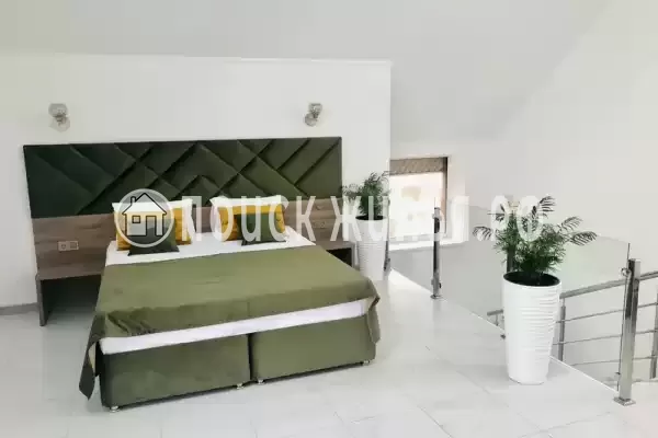 «Лайм», Агой