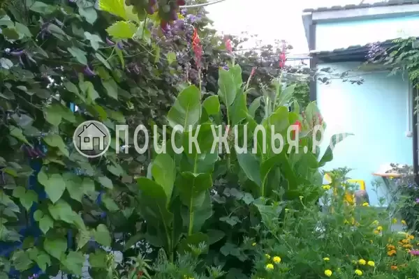 «У Борисовны», Анапа