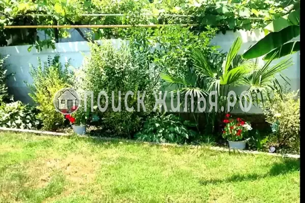 «Эва и Лео», Лоо