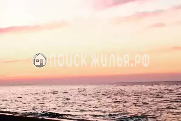 «София», Голубицкая