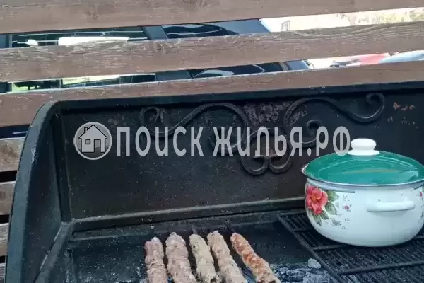 «София», Голубицкая