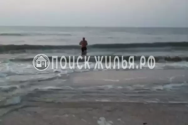 «София», Голубицкая