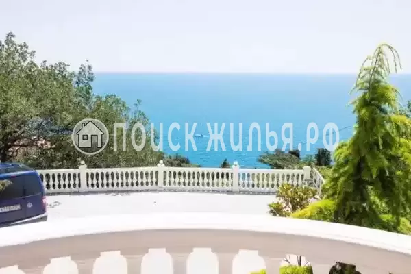 «Forest», Алупка «Forest», Алупка