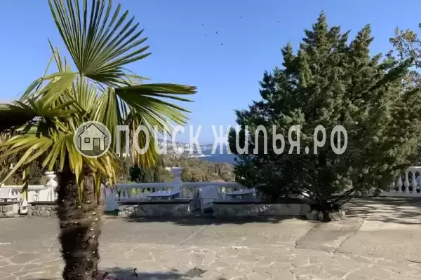 «Forest», Алупка «Forest», Алупка