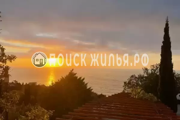 «Forest», Алупка «Forest», Алупка