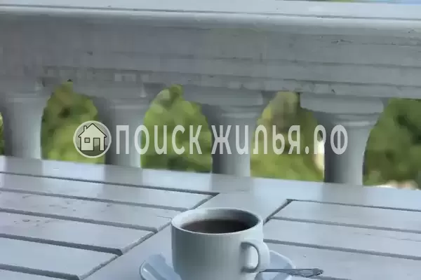 «Forest», Алупка «Forest», Алупка