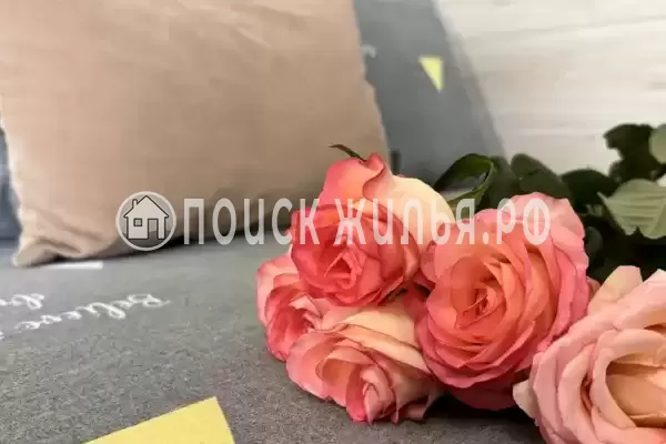 «Талисман Джемете», Джемете «Талисман Джемете», Джемете