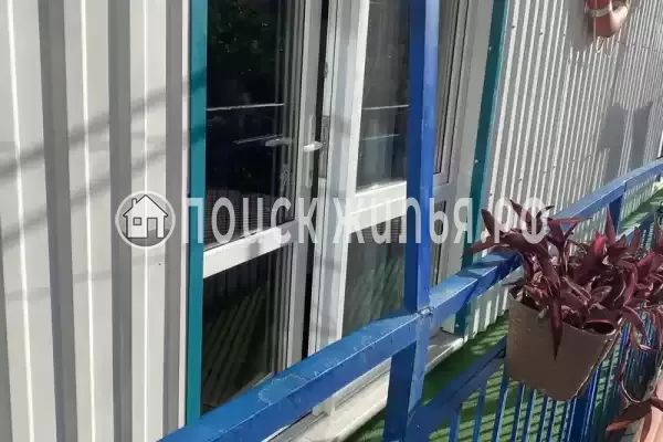 «Наутилус», Ольгинка