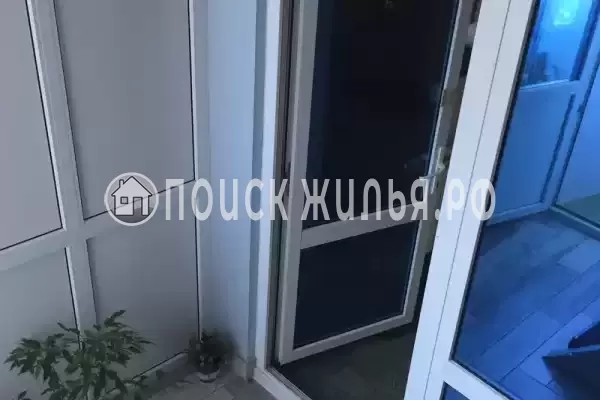 «Наутилус», Ольгинка