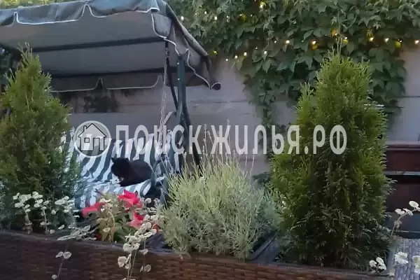 «Листья Травы», Балтийск «Листья Травы», Балтийск