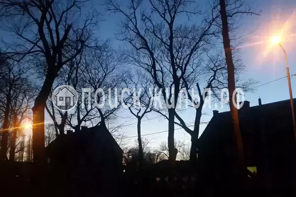 «Листья Травы», Балтийск «Листья Травы», Балтийск