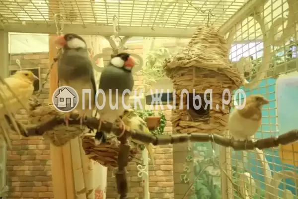 Частный сектор «Комплекс апартаментов Анита - Сочи», Сочи Частный сектор «Комплекс апартаментов Анита - Сочи», Сочи