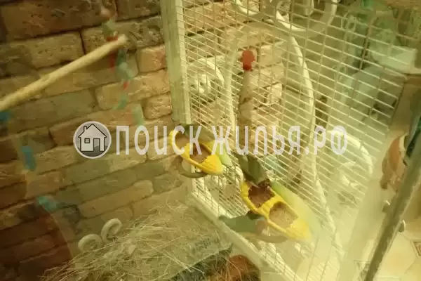 Частный сектор «Комплекс апартаментов Анита - Сочи», Сочи Частный сектор «Комплекс апартаментов Анита - Сочи», Сочи