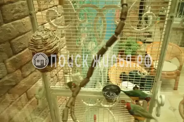 Частный сектор «Комплекс апартаментов Анита - Сочи», Сочи Частный сектор «Комплекс апартаментов Анита - Сочи», Сочи