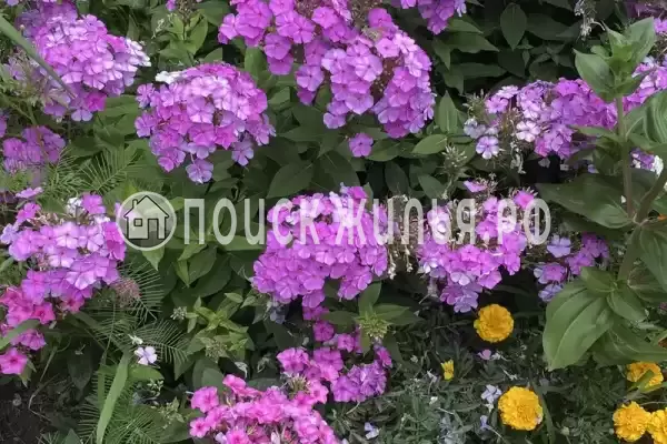 «Альталушта», Алушта