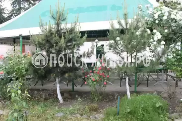 «Альталушта», Алушта